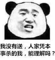 所以，你们能理解我吗？