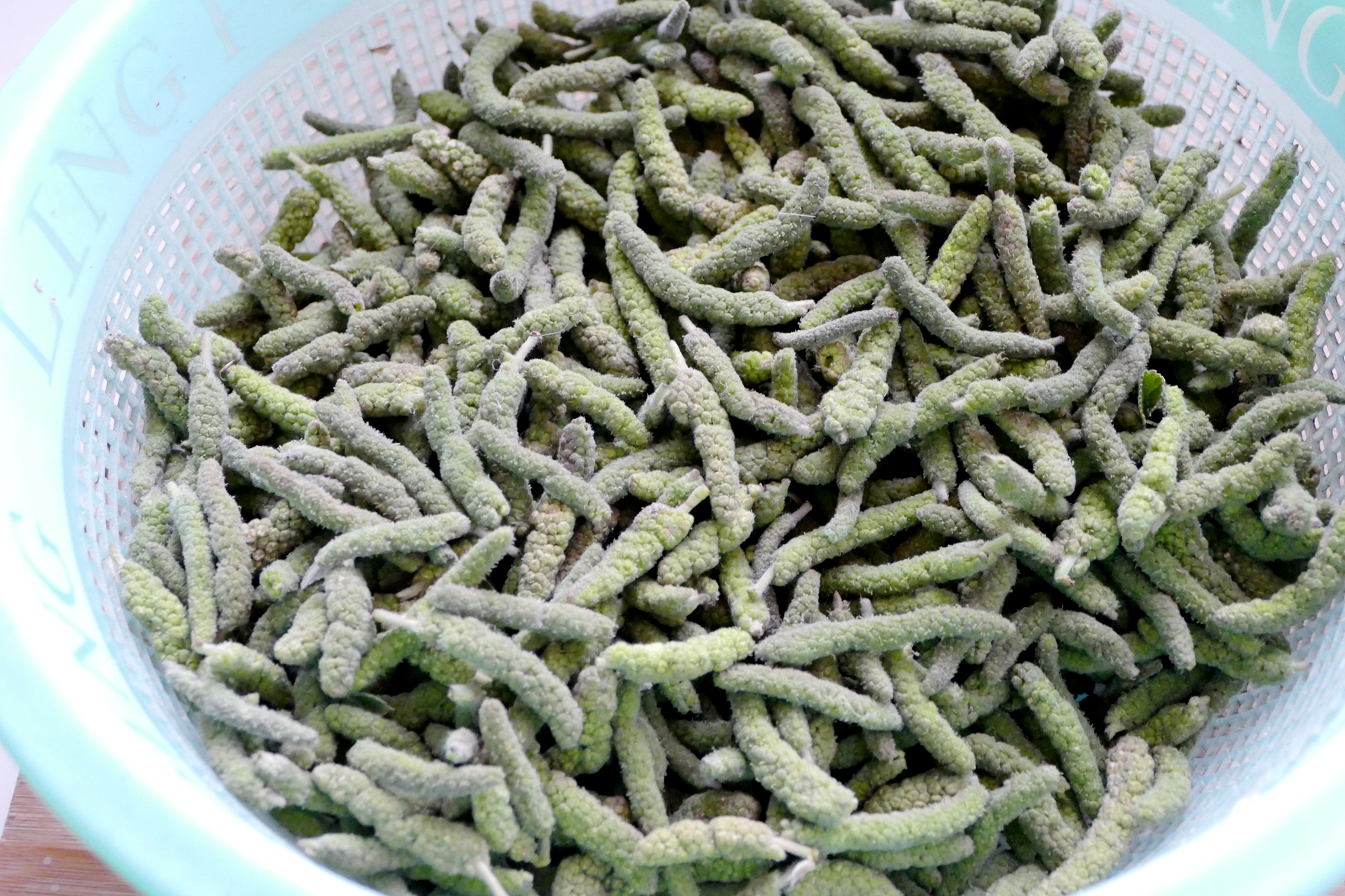 择干净的楮桃果像不像青色的桑葚放清水里多淘几遍,加盐浸泡一个小时