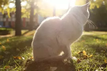 从Z到A｜26个字母带你穿越大工的四年！