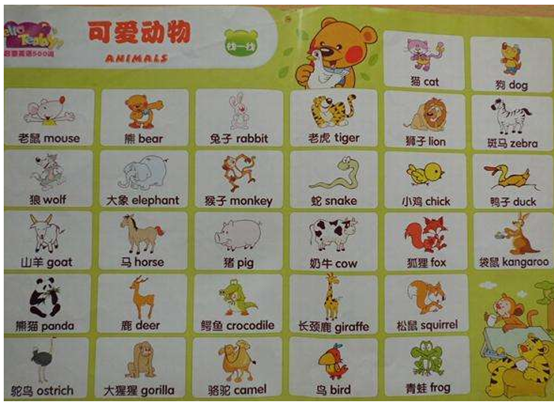 小学英语单词分类