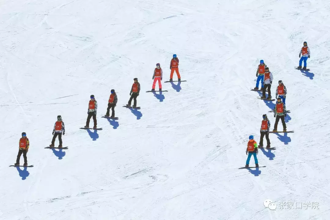 河北这所高校毕业生遭疯抢！全国缺口巨大，好多学校开不了课