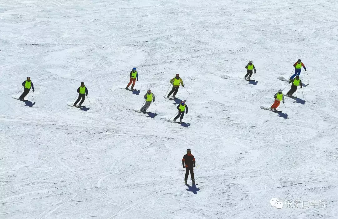 河北这所高校毕业生遭疯抢！全国缺口巨大，好多学校开不了课