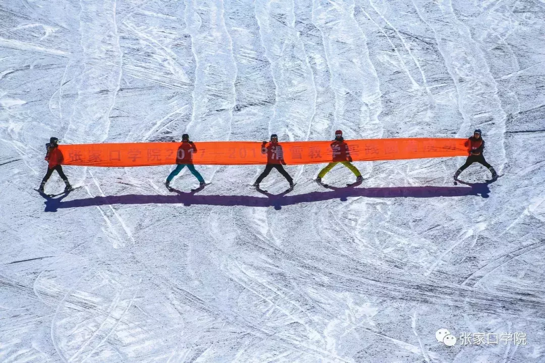 河北这所高校毕业生遭疯抢！全国缺口巨大，好多学校开不了课