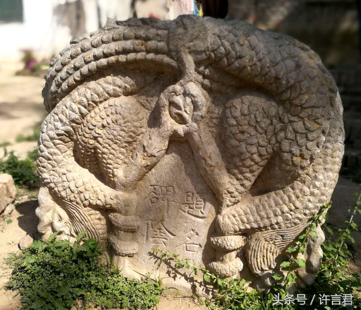 两棵古柏相依相偎两千年,当地人称其为"夫妻树"