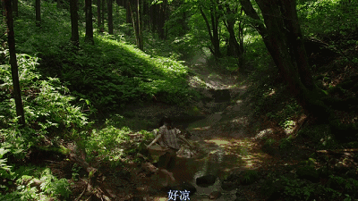 韩版《小森林》输给日版的绝不止豆瓣1.7那么简单