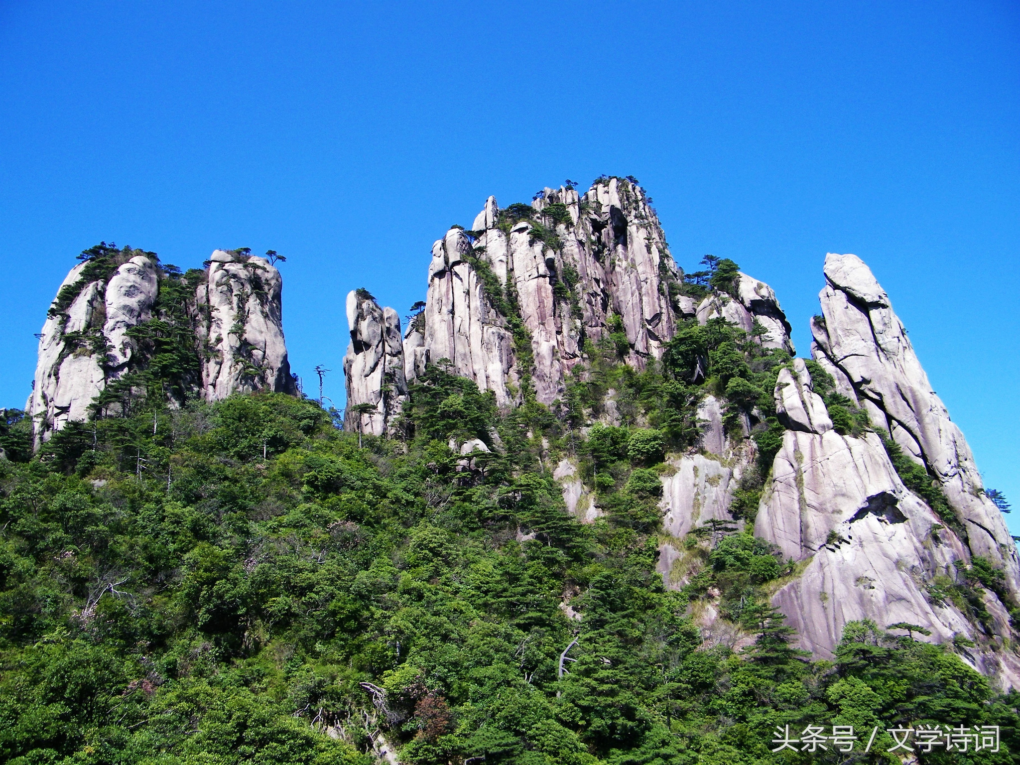 带山字的诗句100首（关于山的经典诗句分享）