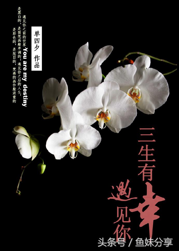 鱼妹书单|6本男主或者女主是律师的完结甜宠文