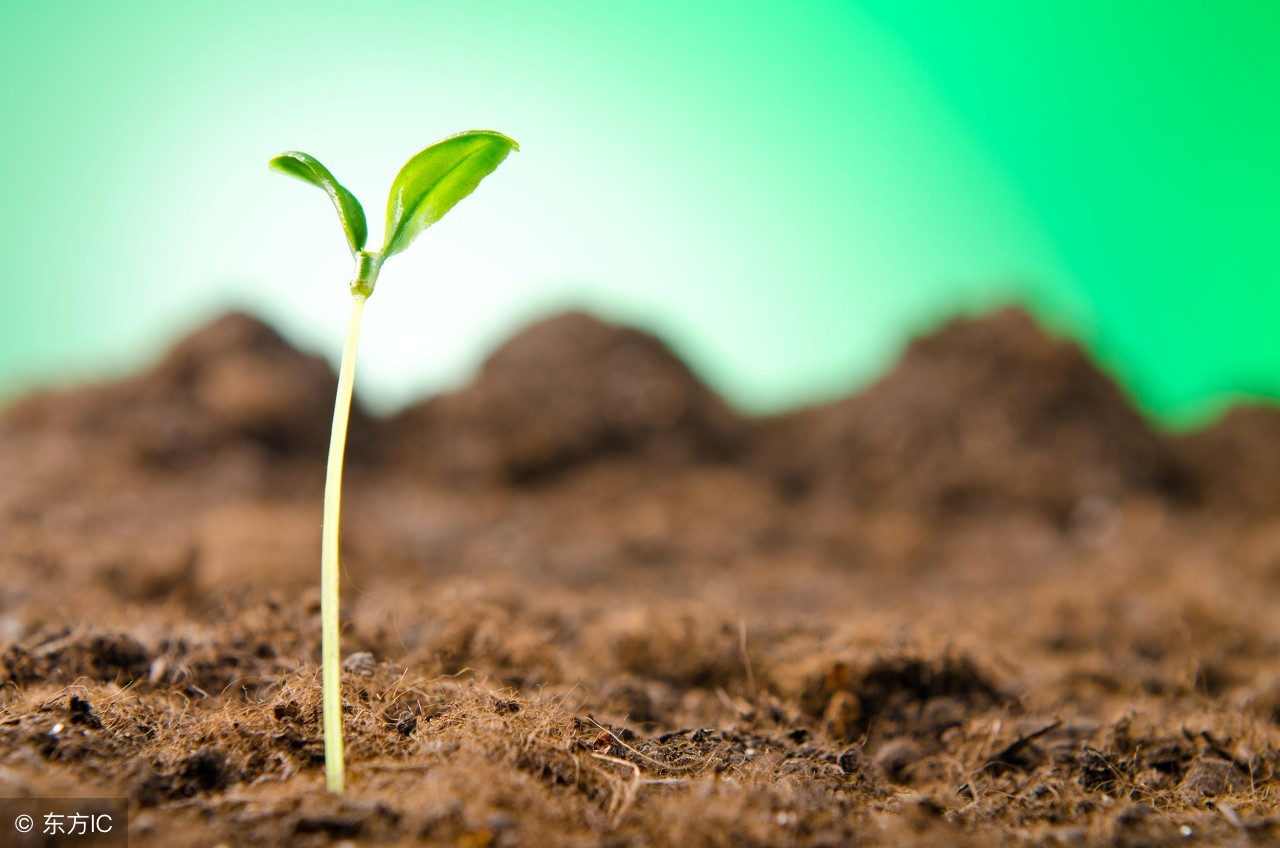 五行缺土我该怎么办?