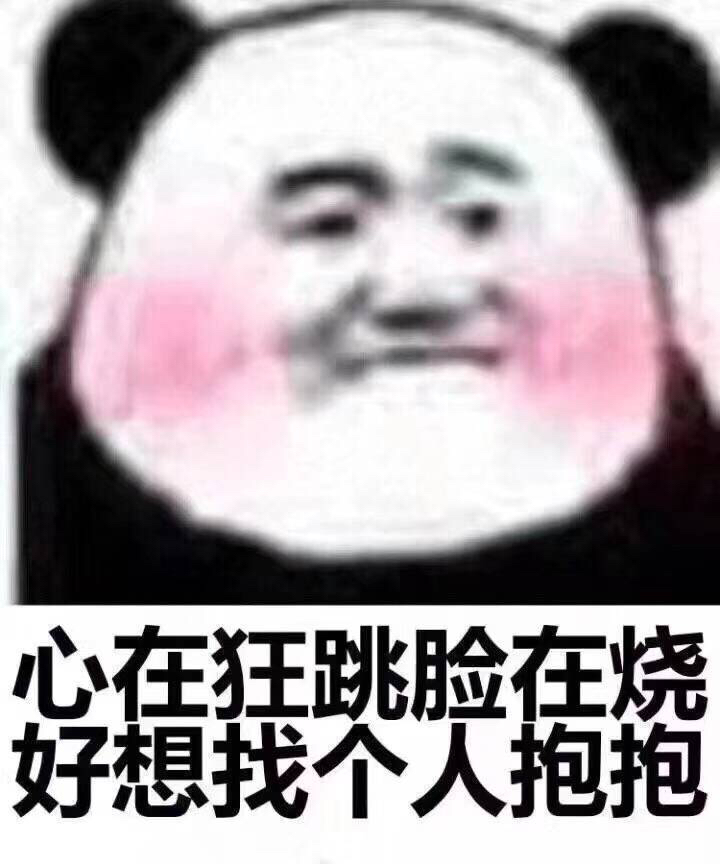 今天精选表情包