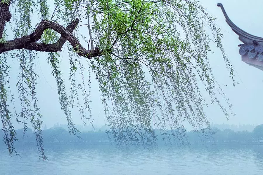 在无心插柳中,在依依惜别时……春在柳色中,在婀娜谦逊里,春风拂兮