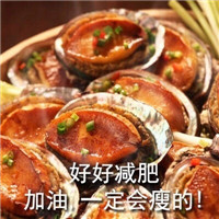 海鲜表情包：好好减肥加油一定会瘦的