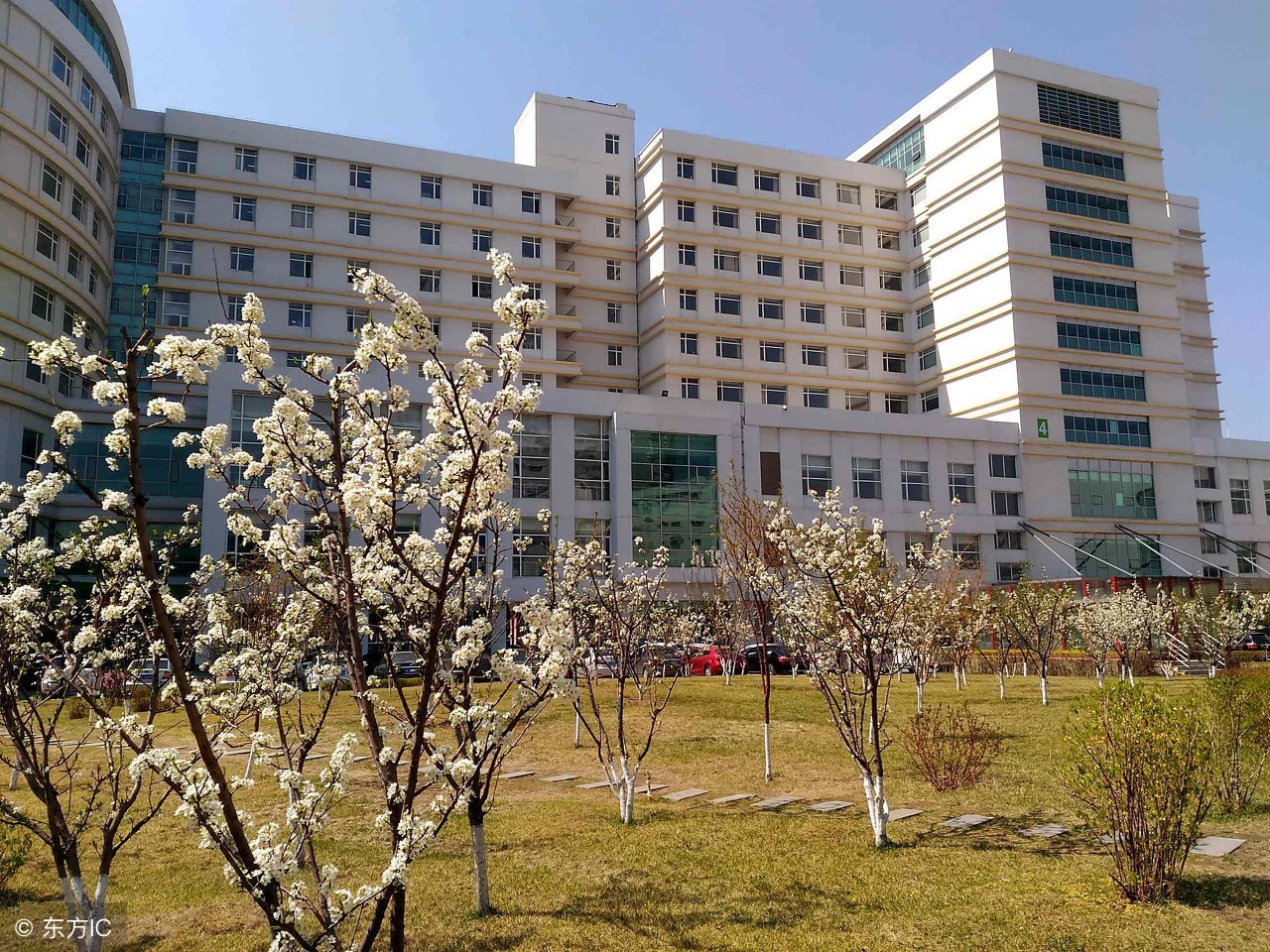 专业同名不同校，有什么差异？报考时千万不能想当然！