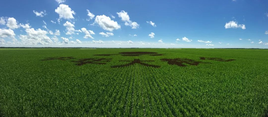 校企合作新征程｜极飞学院入驻黑龙江农垦科技职业学院