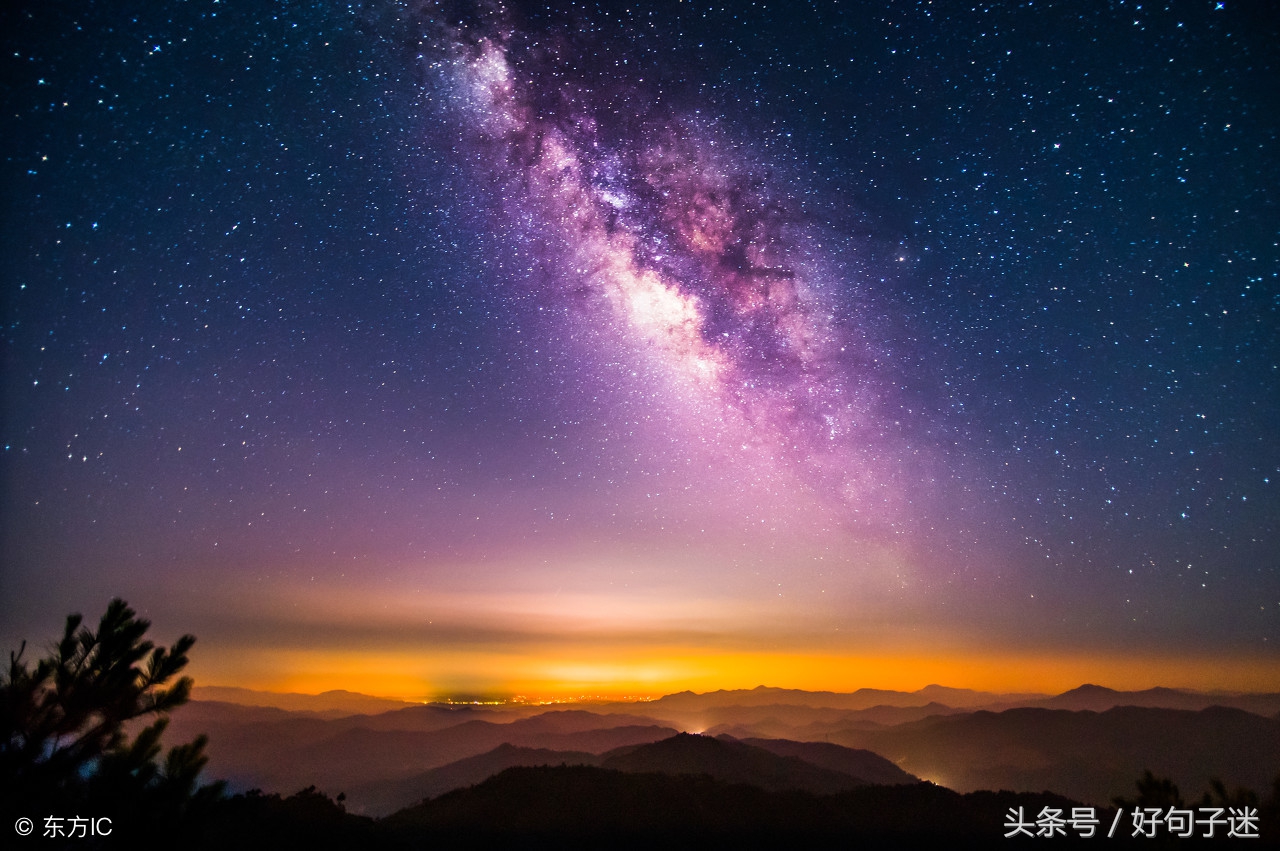 句子迷App精选四字唯美微信名，文艺治愈风，每一句都像心跳的温柔低语，适合爱文字的你。