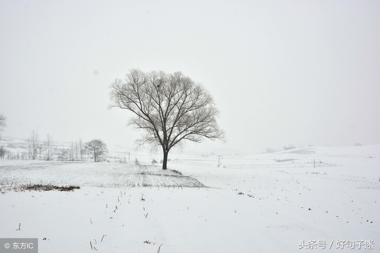 四字唯美微信名：诗意栖居