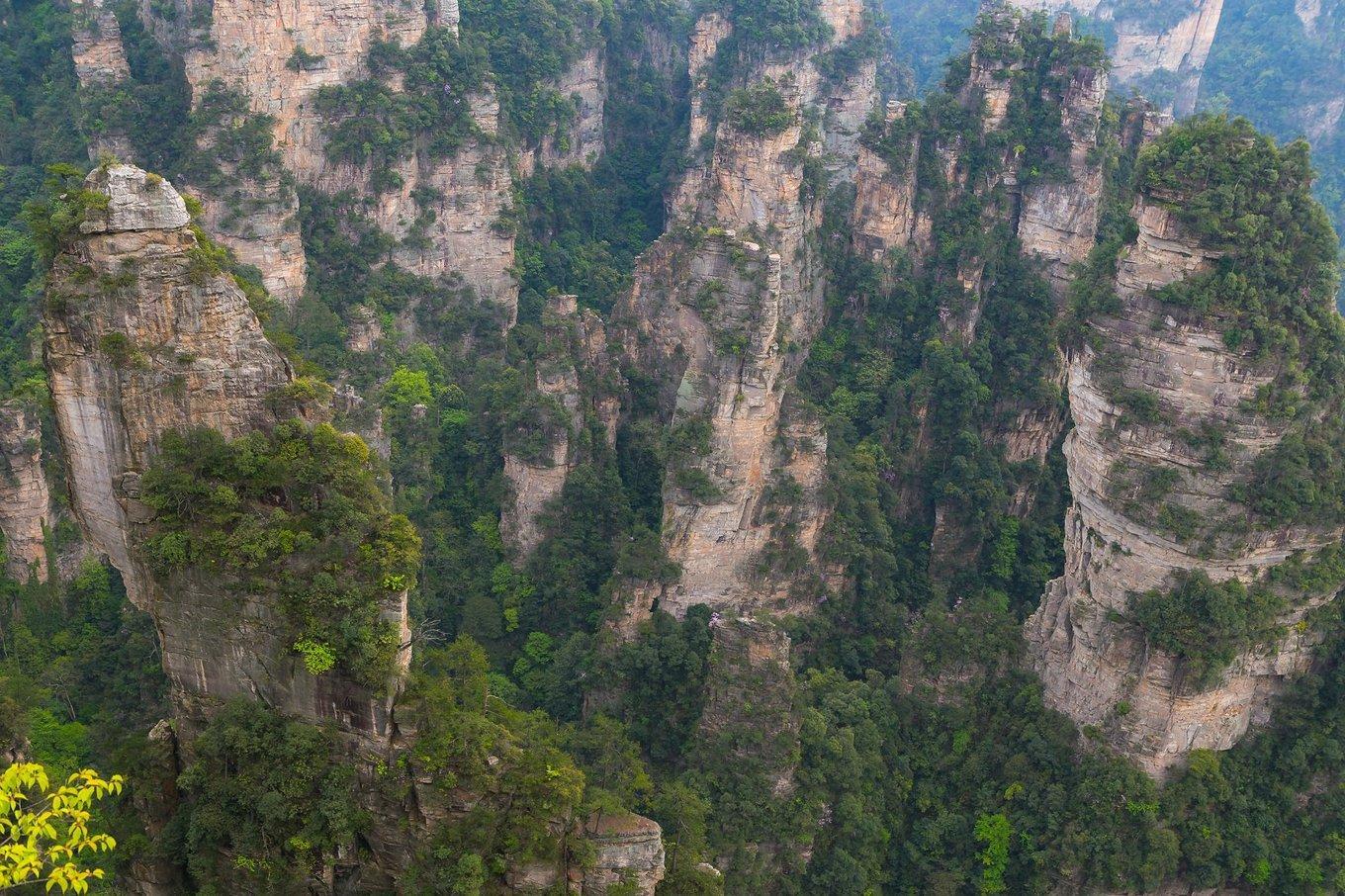 张家界武陵源：不悔经行处，只恨太匆匆