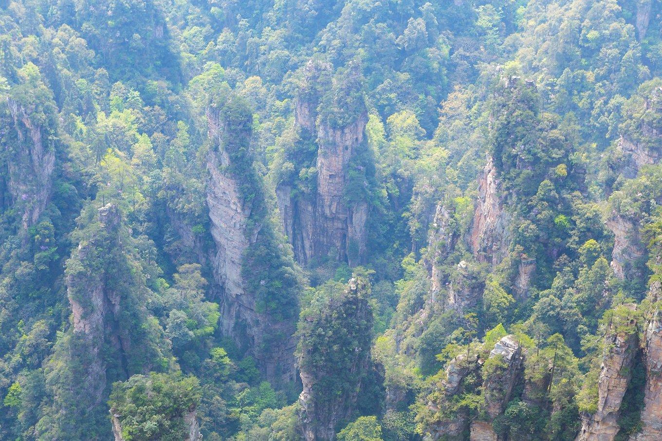 张家界武陵源：不悔经行处，只恨太匆匆