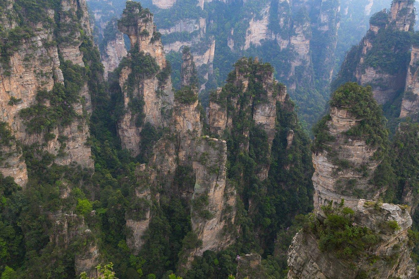 张家界武陵源：不悔经行处，只恨太匆匆