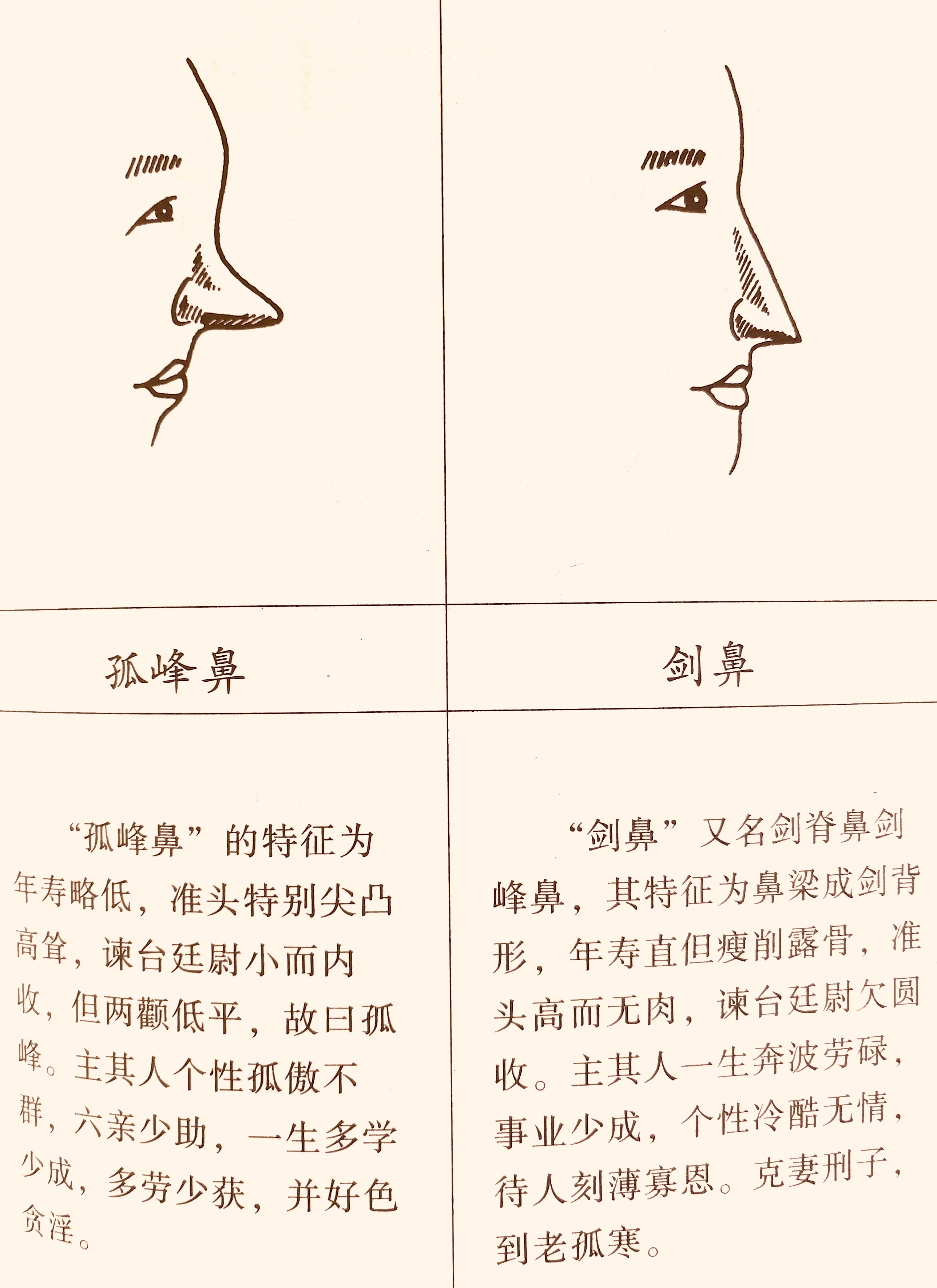 面相：鼻为人生的缩影