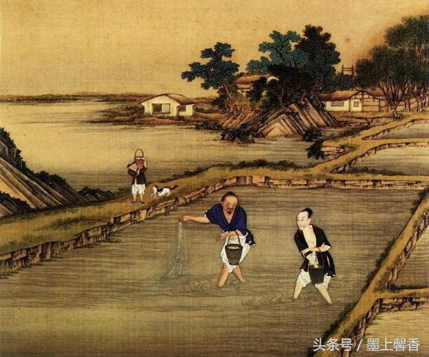 中国二十四节气知识（收藏慢慢看）