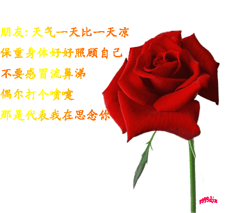 早上好！最新最美，群聊表情包，送给你！