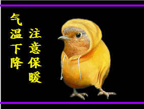 早上好！最新最美，群聊表情包，送给你！