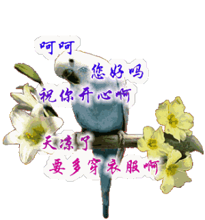 早上好！最新最美，群聊表情包，送给你！