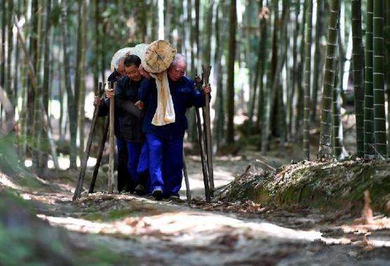 民间俗话“一人不进庙，二人不看井，三人不抱树”是何意？