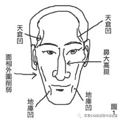 紫微斗数天梁星在父母宫命理好不好?_达一风水网