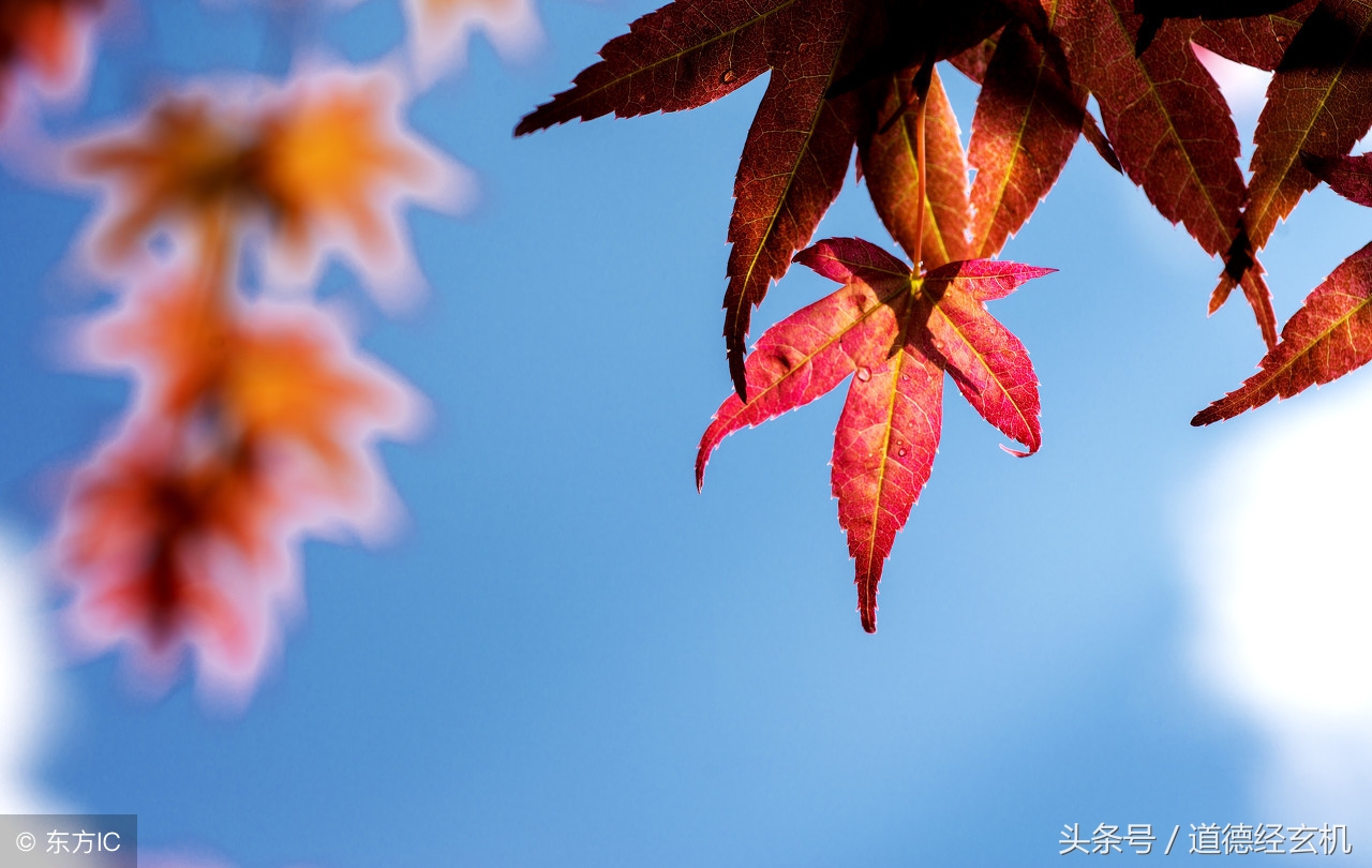 《管子》 四恶是指哪四恶