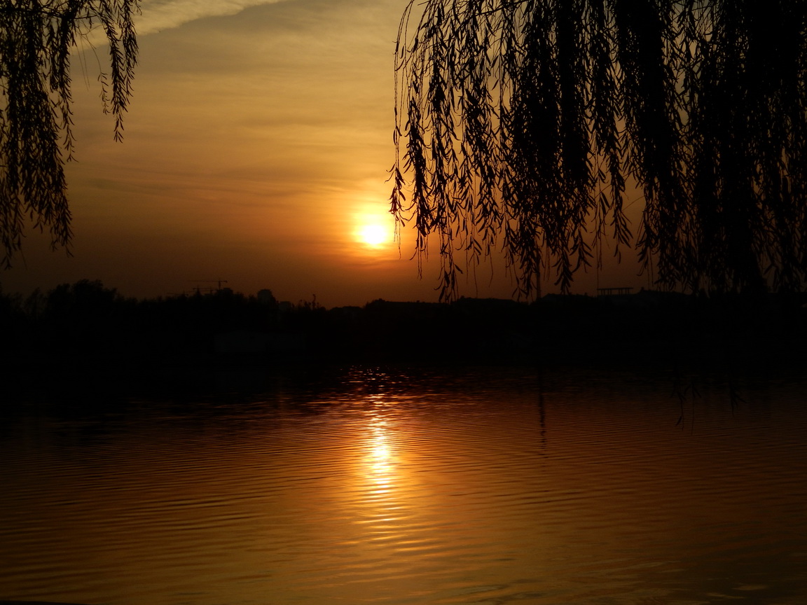 最美夕陽紅 黃昏又如何