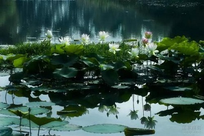 这十首有关夏天的唐诗宋词，只须读过三首，夏日便不再闷热无趣了