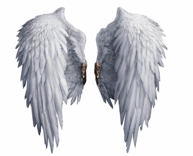 颜色挺丰富这个是白羊座的专属翅膀,还可以这个是双鱼座的专属翅膀,太