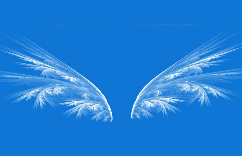 12星座的专属翅膀,快来对号入座,你喜欢吗?