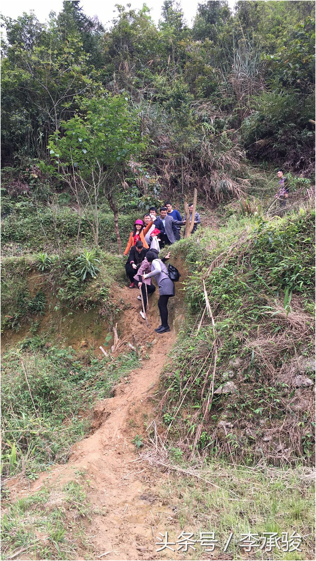 这个壮家农村女，读书不多，没有基础，竟然在40岁时做起了作家梦