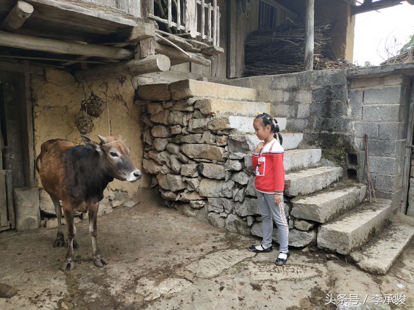 这个壮家农村女，读书不多，没有基础，竟然在40岁时做起了作家梦