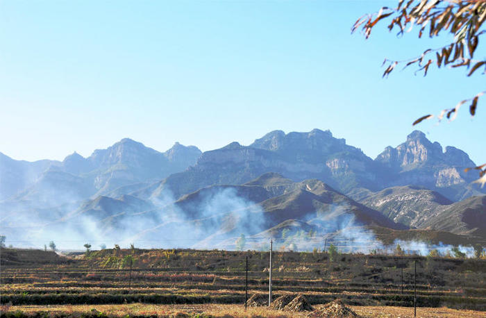 张文艺│我是鹤山人