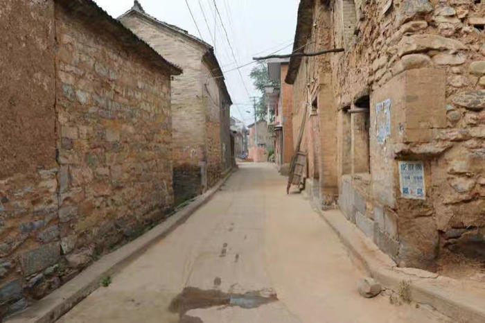 张文艺│我是鹤山人