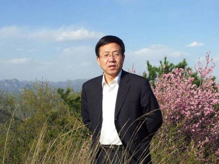 张文艺│我是鹤山人