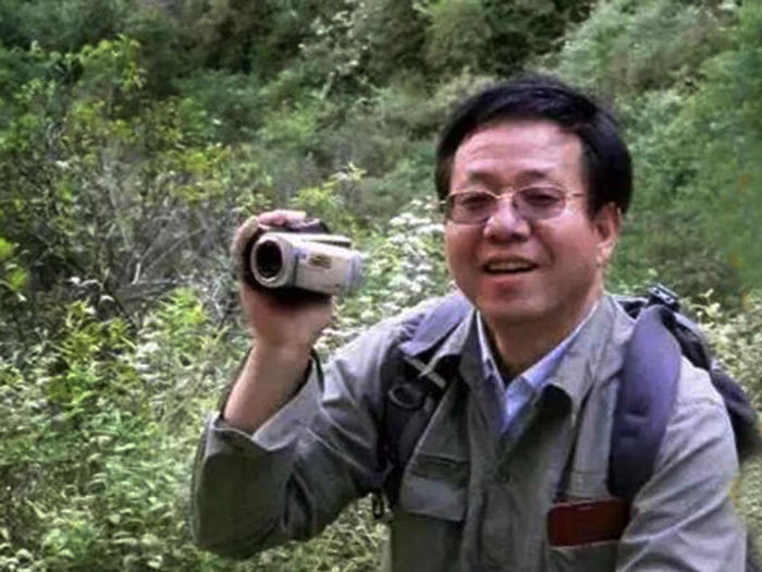 张文艺│我是鹤山人