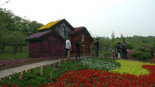 开在诗词里的花：繁花似锦满目春，诗词歌赋颂古今