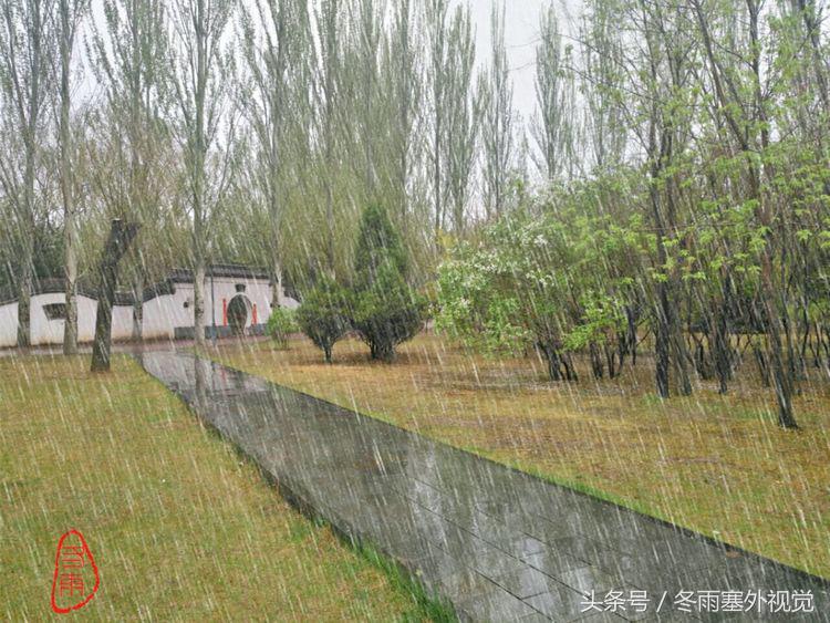 雨中花，霏霏雨露作清妍