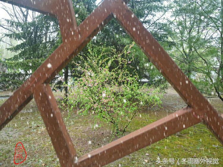 雨中花，霏霏雨露作清妍