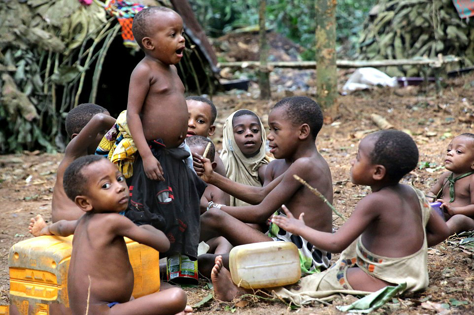 世界上的原始部落，是成熟的8岁，平均预期寿命只有40