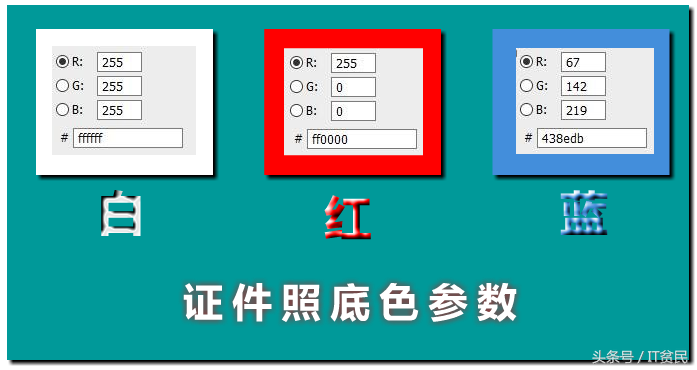 结婚照尺寸,结婚照尺寸大小是多少