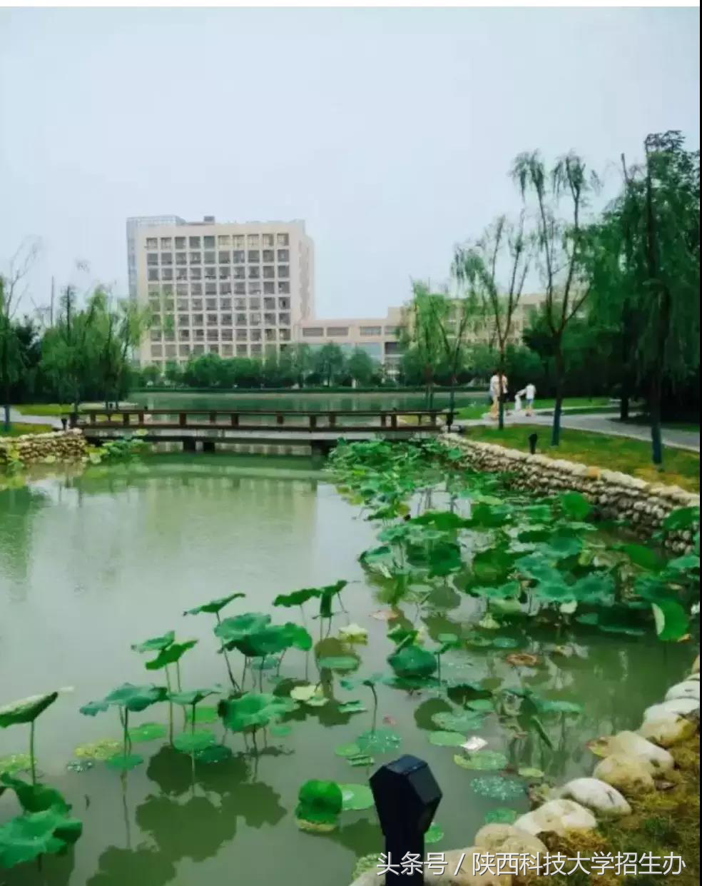 陝西科技大學圖書館獨家記憶