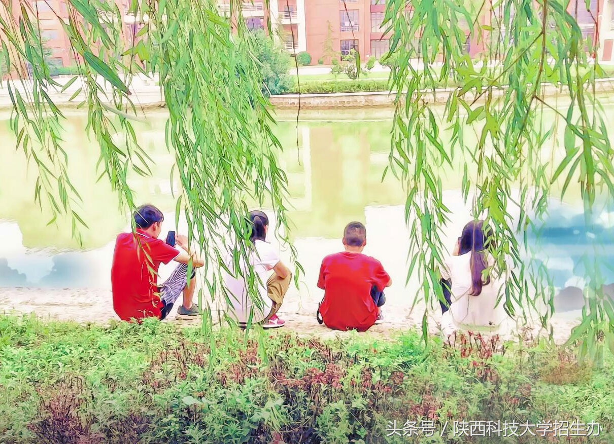 独家记忆！陕科大最近4年的变化，看你发现了多少？