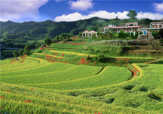 河南这些地方景美人少，去过五个以上算你厉害！