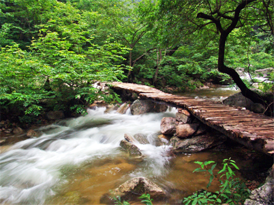 河南这些地方景美人少，去过五个以上算你厉害！