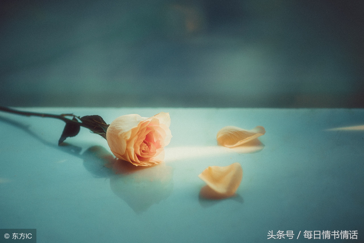 月下寄情书，一字一念君，此心唯你，不问归期。
